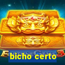 bicho certo